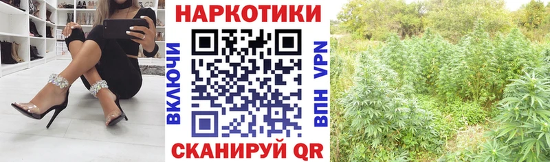 Хочу наркоту Обоянь Галлюциногенные грибы Cocaine МЕФ Бошки Шишки Гашиш СК