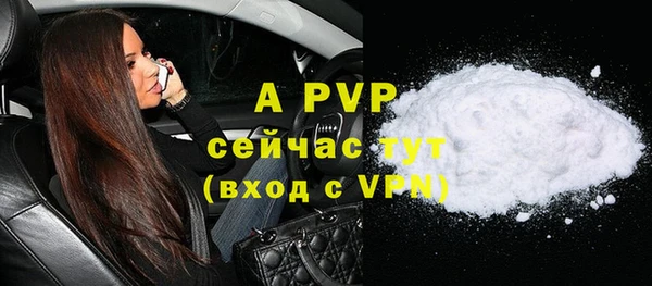 твердый Арсеньев