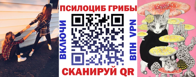 Псилоцибиновые грибы Psilocybe  купить   Обоянь 